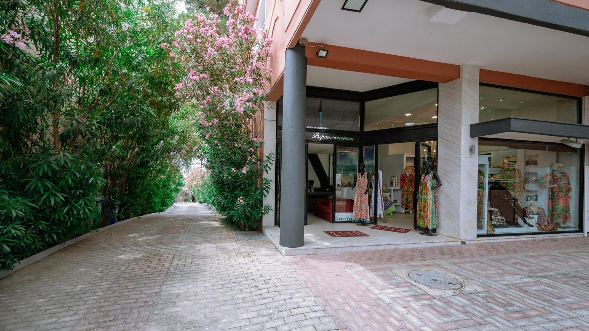 Ktima Papaoikonomou 2 Apartman Potósz Kültér fotó
